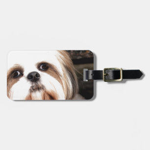 Shih Tzu Bagagelabel