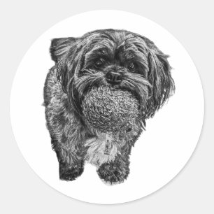 Shih Tzu & Bal Speelse Honden Kunst Sticker