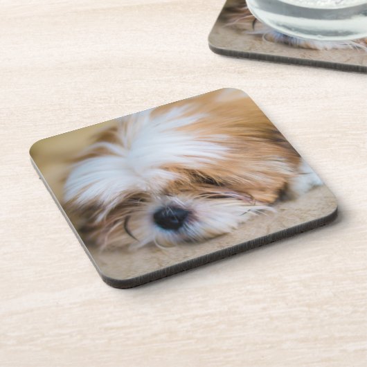 Shih Tzu Bier Onderzetter (Linkerzijde)