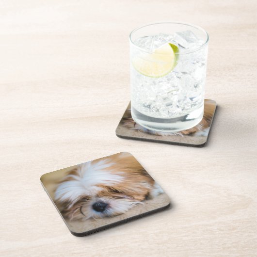 Shih Tzu Bier Onderzetter (Rechterzijde)