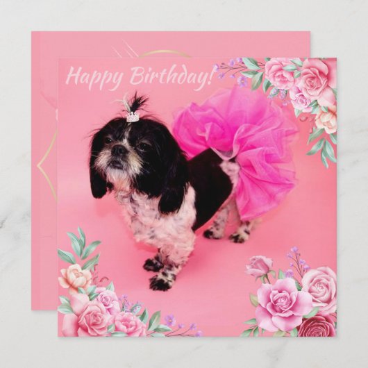 Shih Tzu Birthday Feestdagenkaart (Voorkant / Achterkant)