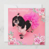 Shih Tzu Birthday Feestdagenkaart (Voorkant)
