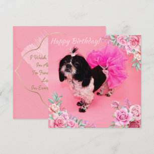 Shih Tzu Birthday Feestdagenkaart