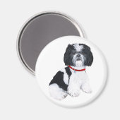 Shih Tzu Black & White Magneet (Voorkant / Achterkant)