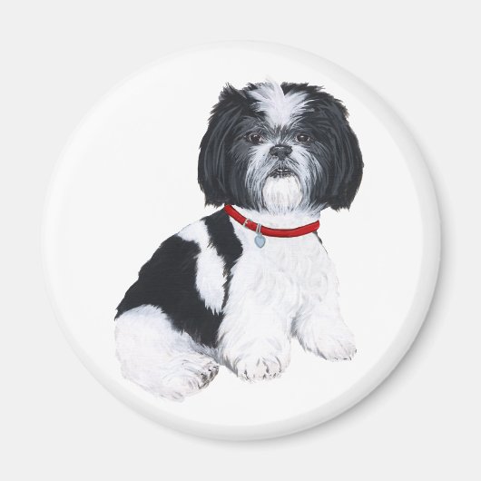 Shih Tzu Black & White Magneet (Voorkant)