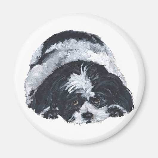 Shih Tzu Black & White Magneet (Voorkant)
