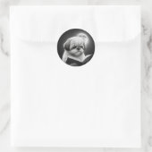 Shih Tzu Boek lezen Ronde Sticker (Tas)