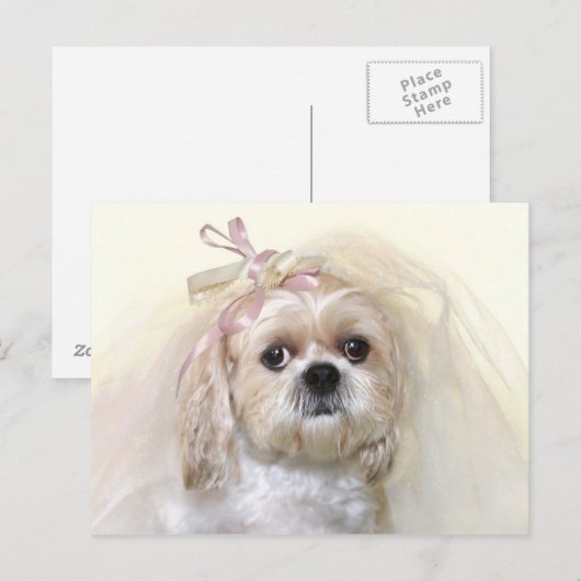 Shih Tzu Bride Briefkaart (Voorkant / Achterkant)