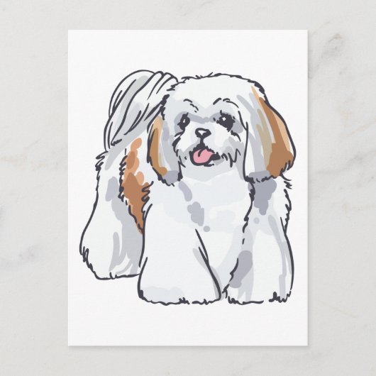 Shih Tzu Briefkaart (Voorkant)