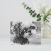 Shih Tzu Briefkaart (Staand voorkant)