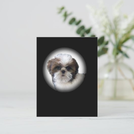 Shih-Tzu Briefkaart (Staand voorkant)