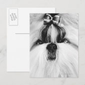 Shih Tzu Briefkaart (Voorkant / Achterkant)