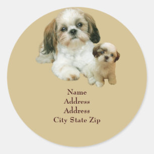 Shih Tzu Buddies Adreslabel Ronde Sticker