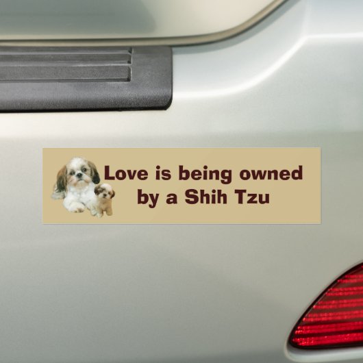 Shih Tzu Buddies Bumpersticker (Op auto)