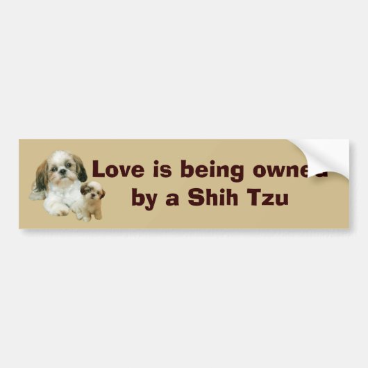 Shih Tzu Buddies Bumpersticker (Voorkant)