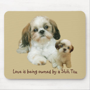 Shih Tzu Buddies Mousepad Muismat