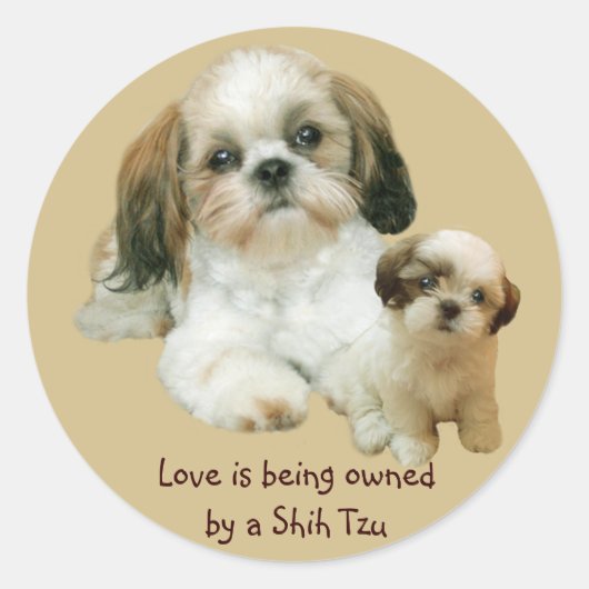 Shih Tzu Buddies Sticker (Voorkant)