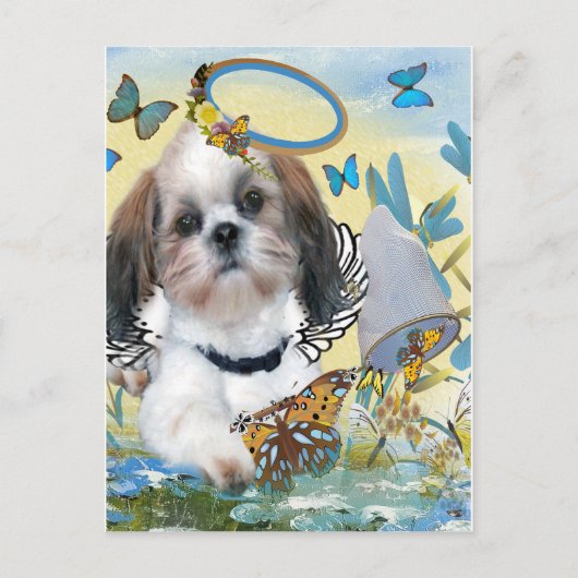 Shih Tzu Butterfly Chaser Cards Briefkaart (Voorkant)