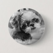 Shih Tzu Button (Voorkant)