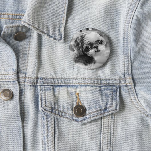 Shih Tzu Button (In situ)