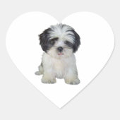Shih Tzu (bw) - Puppy Hart Sticker (Voorkant)