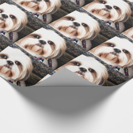 Shih Tzu Cadeaupapier (Hoek)
