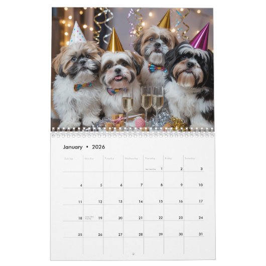 Shih Tzu Calendar Kalender (Jan 2026)