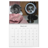 Shih Tzu Calendar Kalender (Mar 2027)