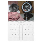Shih Tzu Calendar Kalender (Mar 2026)