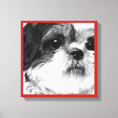 Shih Tzu Canvas Afdruk (Voorkant)