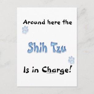 Shih Tzu Charge Briefkaart