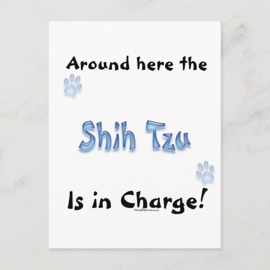 Shih Tzu Charge Briefkaart (Voorkant)