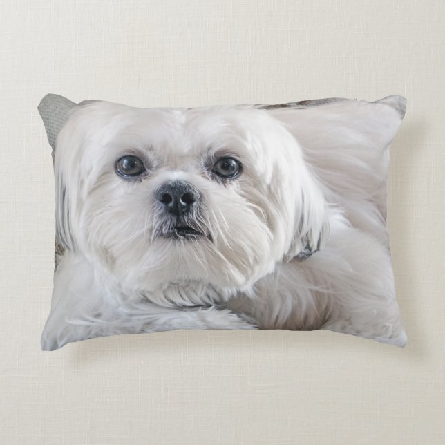 Shih Tzu Decoratief Kussen (Voorkant)