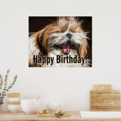 Shih tzu die gaapt lachend grappig Gefeliciteerd m Poster (Keuken)
