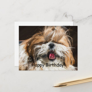 Shih tzu die gaapt met tong grappig leuk Gefelicit Briefkaart