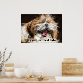 Shih tzu die lachen maakt grappige tekst aan poster (Keuken)