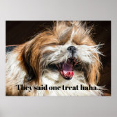 Shih tzu die lachen maakt grappige tekst aan poster (Voorkant)