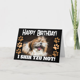 Shih tzu die niet lacht leuk Verjaardagswens  Kaart