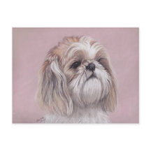 Shih tzu Dog Art Briefkaart