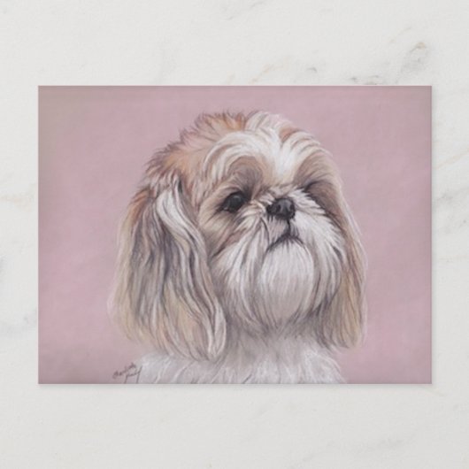 Shih tzu Dog Art Briefkaart (Voorkant)