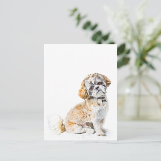 Shih Tzu Dog Briefkaart (Staand voorkant)