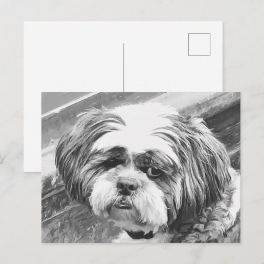 SHIH TZU DOG BRIEFKAART (Voorkant / Achterkant)
