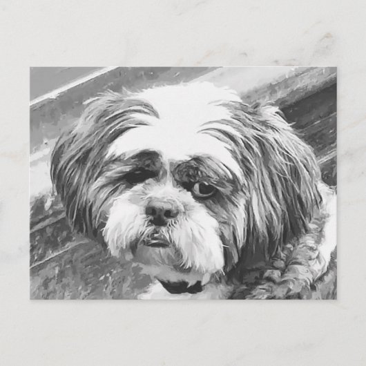 SHIH TZU DOG BRIEFKAART (Voorkant)