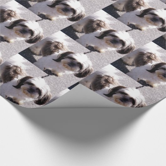 Shih Tzu Dog Cadeaupapier (Hoek)
