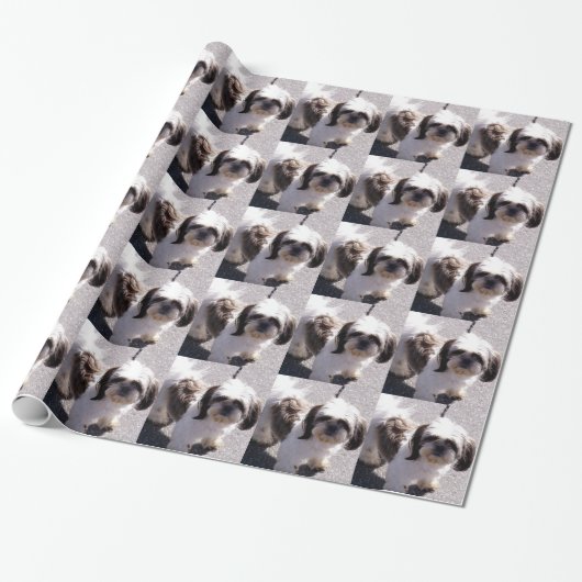 Shih Tzu Dog Cadeaupapier (Uitgerold)