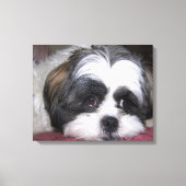Shih Tzu Dog Canvas Afdruk (Voorkant)