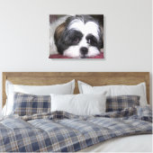 Shih Tzu Dog Canvas Afdruk (Insitu (Slaapkamer))