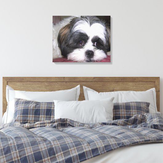 Shih Tzu Dog Canvas Afdruk (Insitu (Slaapkamer))