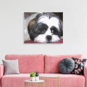Shih Tzu Dog Canvas Afdruk (Insitu (Woonkamer))