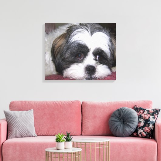 Shih Tzu Dog Canvas Afdruk (Insitu (Woonkamer))